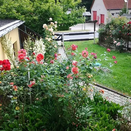 Waldblick * Sangerhausen