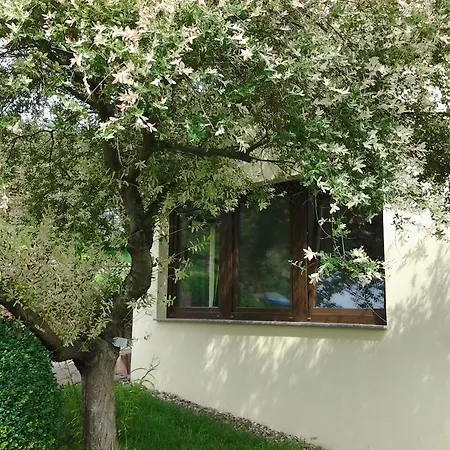 Waldblick Semesterbostad Sangerhausen