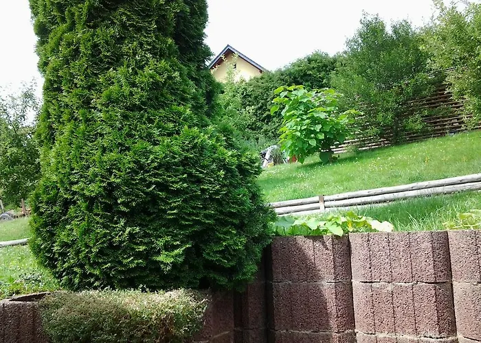 Vakantiehuis Waldblick Sangerhausen