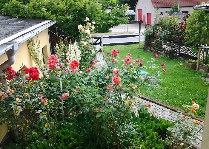 Waldblick * Sangerhausen