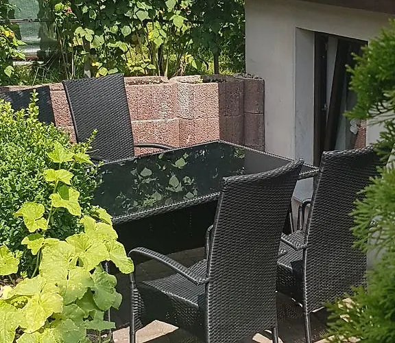 Waldblick Sangerhausen